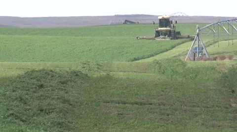 Swather Medium Front View.mp4 Stock Footage 45519561