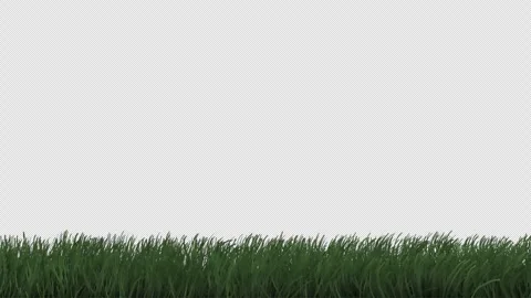 Swaying grass on a transparent alpha channel Stock Footage 270529320