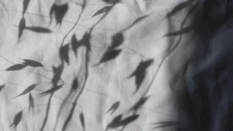 Swaying oat grass shadow on wrinkled white linen fabric background Stock Footage 341333027