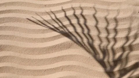 Swaying palm leaf shadow on wavy textured sand beach. Stockbeeldmateriaal 255179927