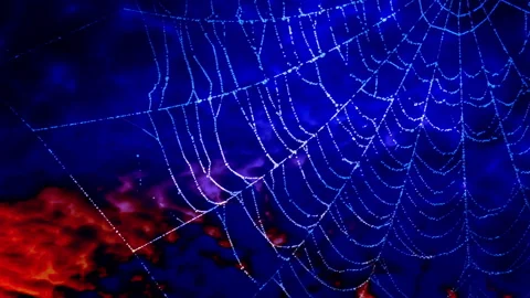 Spider Glows Stock Photos - Free & Royalty-Free Stock Photos from