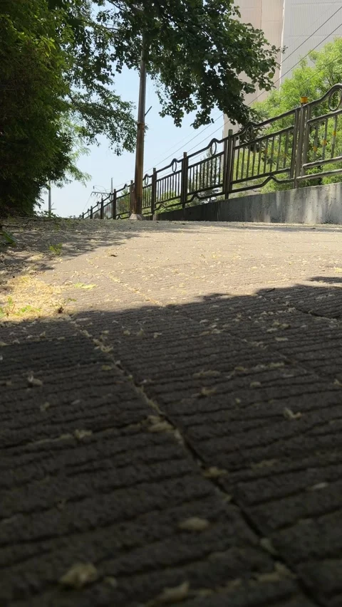 Swaying Summer Trees and Fallen Flower Petals on an Urban Overpass Walkway Stock Footage 340410012