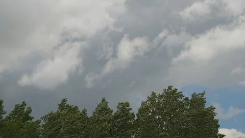 Swaying treetops and flying clouds from strong winds Stock Footage 126492393