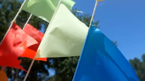 Swaying in the wind Stock Footage 93461763