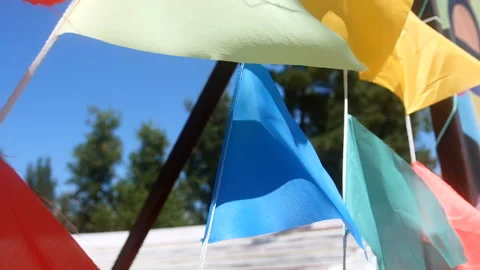 Swaying in the wind Stock Footage 93461845