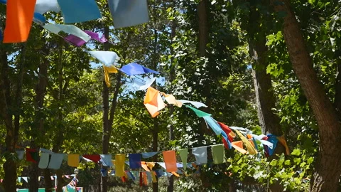 Swaying in the wind Stock Footage 93461947