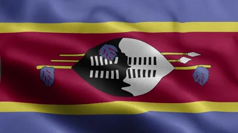 Swaziland flag Front Stock Footage 318669882