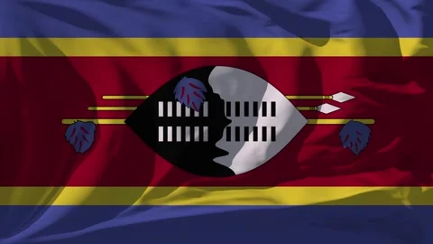 Swaziland Flag Loop Stock Footage 295741242