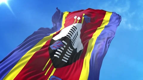 Swaziland Flag Low Angle View Stock Footage 295698065