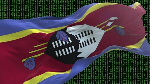 Swaziland flag - Waving flag on matrix binary code background Stock Footage 321421896
