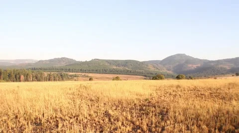 Swaziland open field Stock Footage 51767655