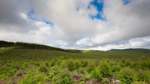 Swaziland Foto stock