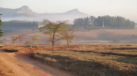 In swaziland  wildlife  nature  reserve mountain and tree Stock Footage