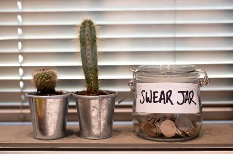 Swear jar on a kitchen window ledge with cactus plants Stock Photos