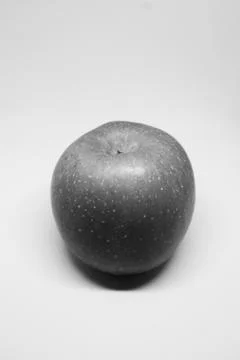 Sweat apple in grayscale theme 写真素材