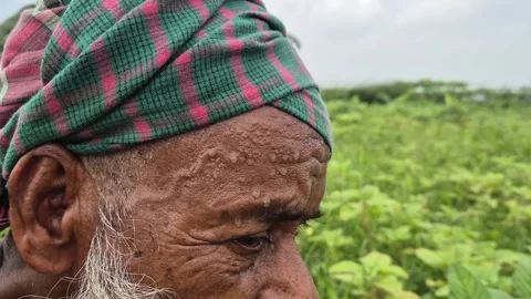 Sweat Drops On Forehead Of Elderly Farmer Working In Pabna Bangladesh Stock Footage 341778468