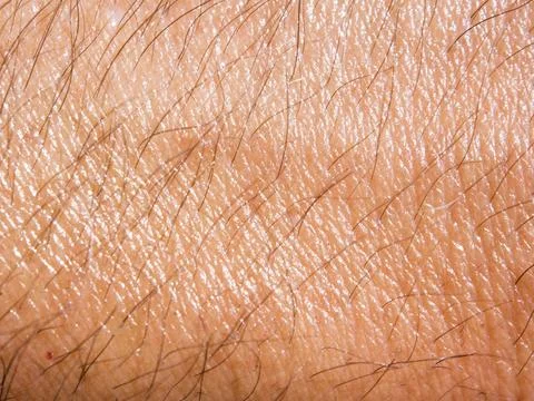 Sweat on a mans arm. Stock Photos