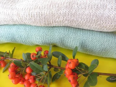 Sweater005 Stock Photos