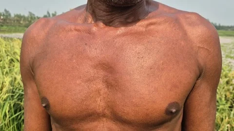 Sweating Muscular Chest Of Hard Working Farmer Bangladesh Stock Footage 339118208