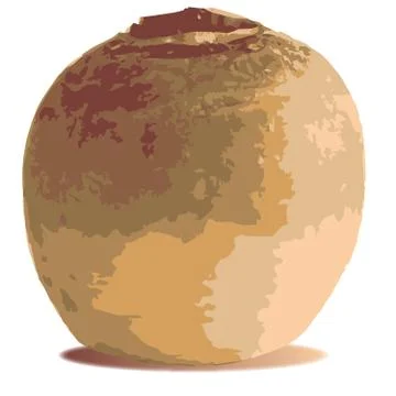 Swede Illustrazione stock