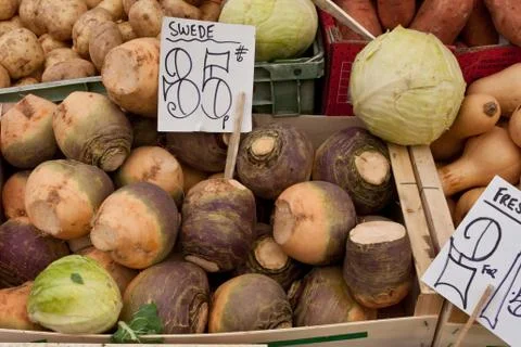 Swede Stock Photos
