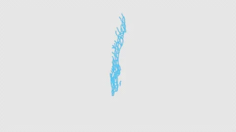 Sweden Country Line Map Self Drawing Animated Overlay, Alpha 4K Видео 340289282