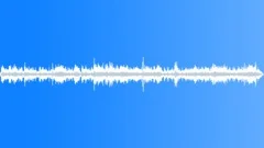 SWEDEN, CROWDSound Effect