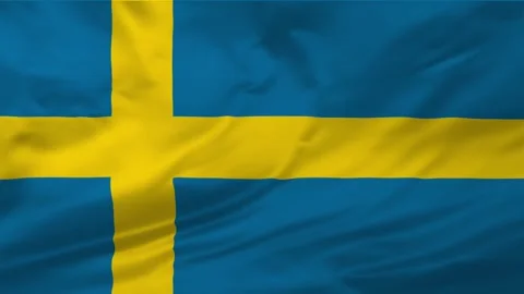 Sweden flag background Stock Footage 263943267