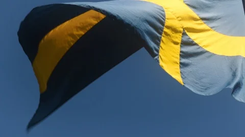 Sweden Flag in the Breeze Stock Footage 94557675