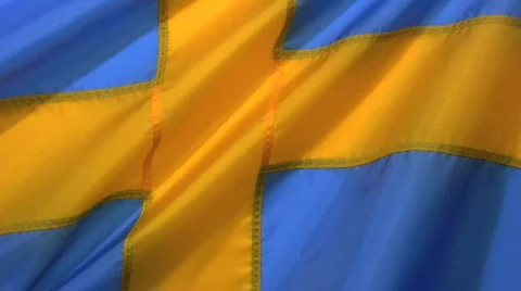 Sweden Flag Stock Footage 361971