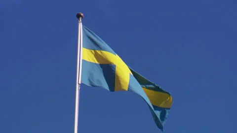 Sweden flag Stock Footage 255222593