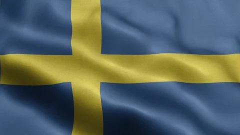 Sweden flag Front Stock Footage 318669932