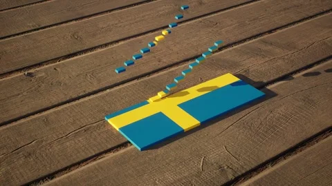 Sweden Flag - Slow Motion Video stock 318916711