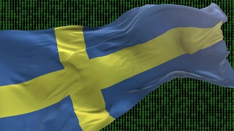 Sweden flag - Waving flag on matrix binary code background Stock Footage 321421908