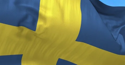 Sweden Flag in the Wind Vidéo 76688817