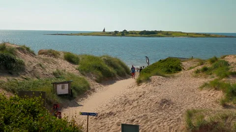 Swedish beach 2 Stock Footage 41466854
