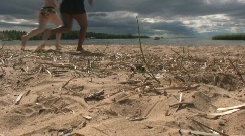 Swedish beach Stock Footage 547270