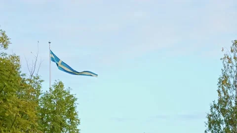 Swedish flag blowing in the wind. Stock Footage 219031512