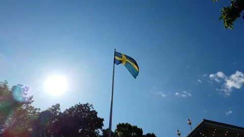 Swedish flag fluttering in the wind Stock Footage 110770388