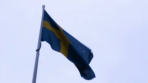 Swedish flag fluttering in the wind Stock Footage 114815027