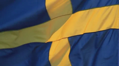 Swedish Flag Stock Footage 32209488
