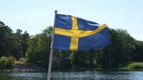 Swedish Flag Stock Footage 113604320