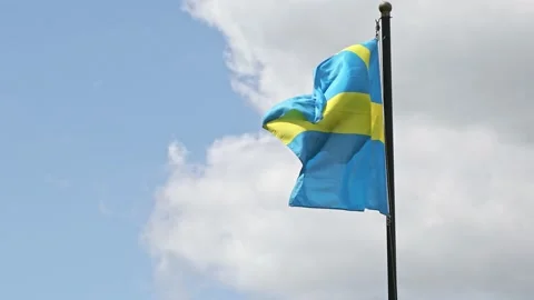 Swedish flag Stock Footage 155829414