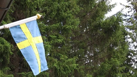 Swedish flag. Stock Footage 246601146