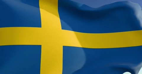 Swedish flag Video stock 300206801
