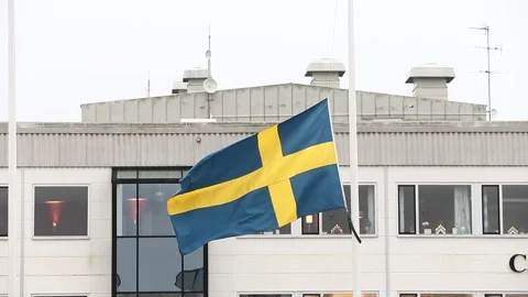 Swedish flag, half pole Stock Footage 194844477