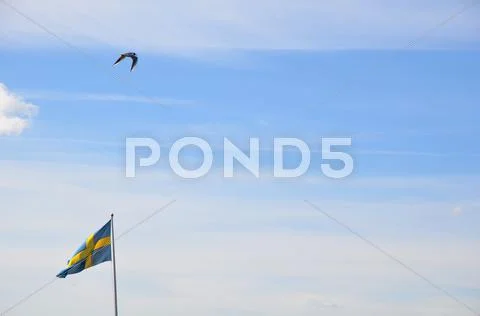 Swedish flag Stock Photos