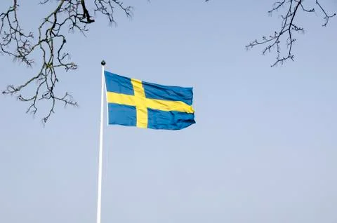 Swedish flag Stock Photos