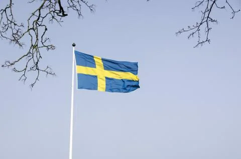 Swedish flag Stock Photos
