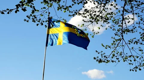 Swedish flag slow motion with leafs in foreground 1025 Vidéo 50342866